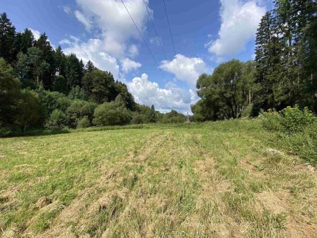 Prodej pole, Kaplice - Blansko, 843 m2