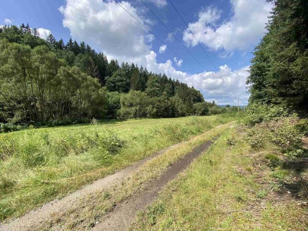 Prodej pole, Kaplice - Blansko, 843 m2