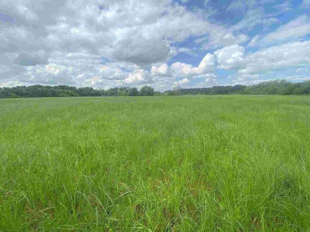 Prodej pozemku, Chropyně, 3647 m2