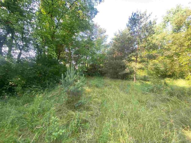 Prodej pozemku, Moravský Písek, 2722 m2