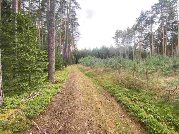 Prodej pozemku, Kladruby - Tuněchody, 2230 m2