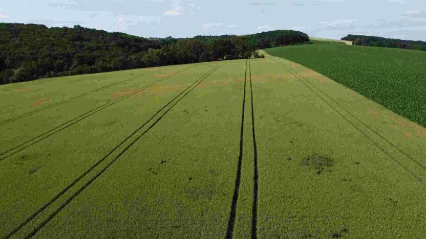 Prodej pozemku, Dobrkovice, 30944 m2