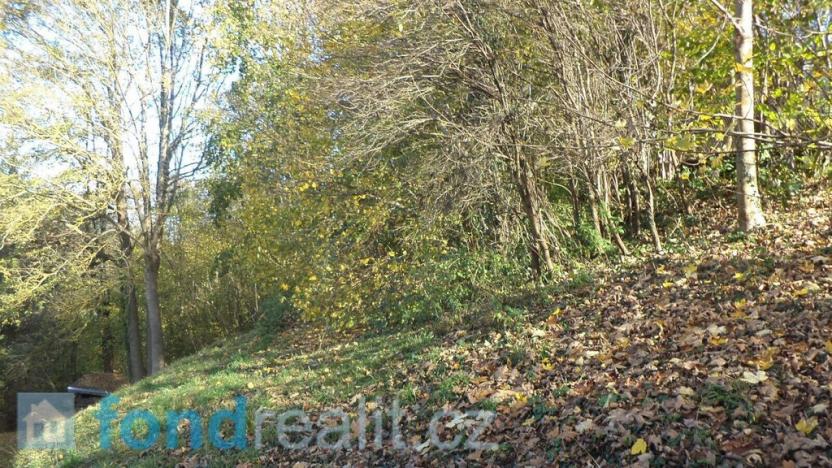 Prodej pozemku, Nové Hrady, 813 m2