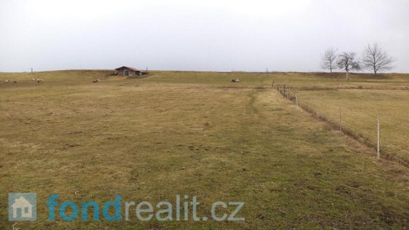 Prodej pozemku, Ločenice, 2346 m2