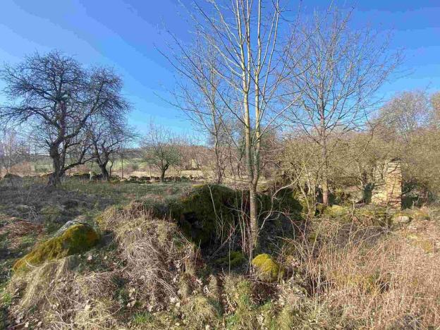 Prodej pozemku, Dolní Dvořiště - Všeměřice, 11107 m2