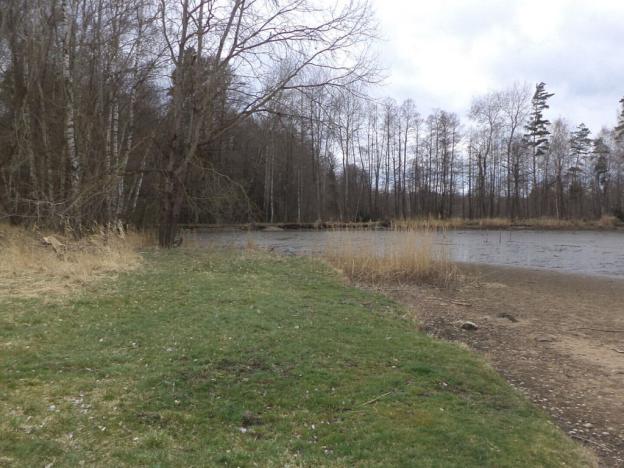 Prodej pozemku, Chlum u Třeboně - Lutová, 6727 m2