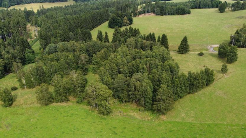 Prodej pole, Březová, 7363 m2
