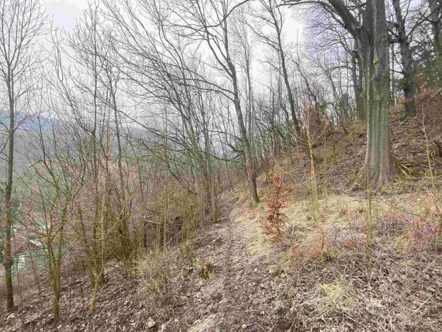 Prodej pozemku, Ryjice, 3310 m2