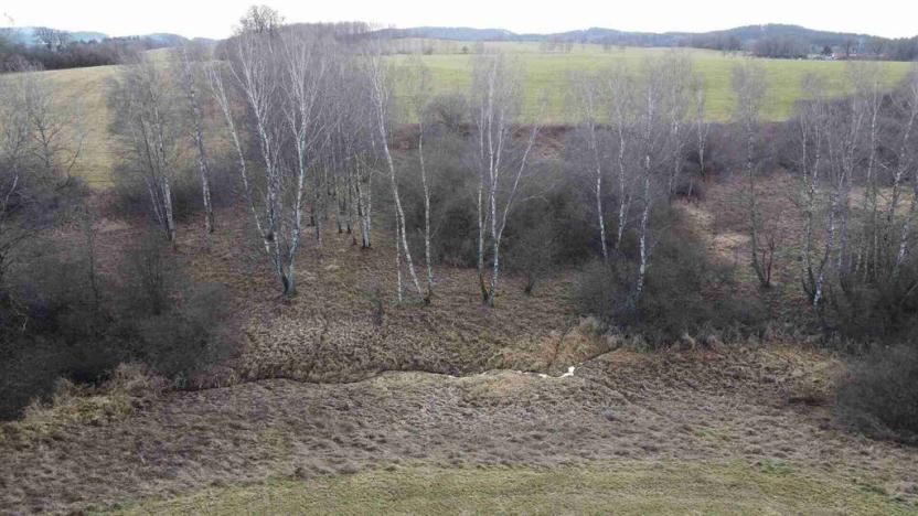 Prodej pozemku, Dolní Dvořiště - Trojany, 18915 m2