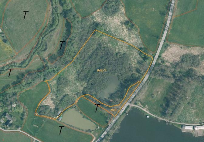 Prodej pozemku, Nové Hrady - Štiptoň, 35772 m2