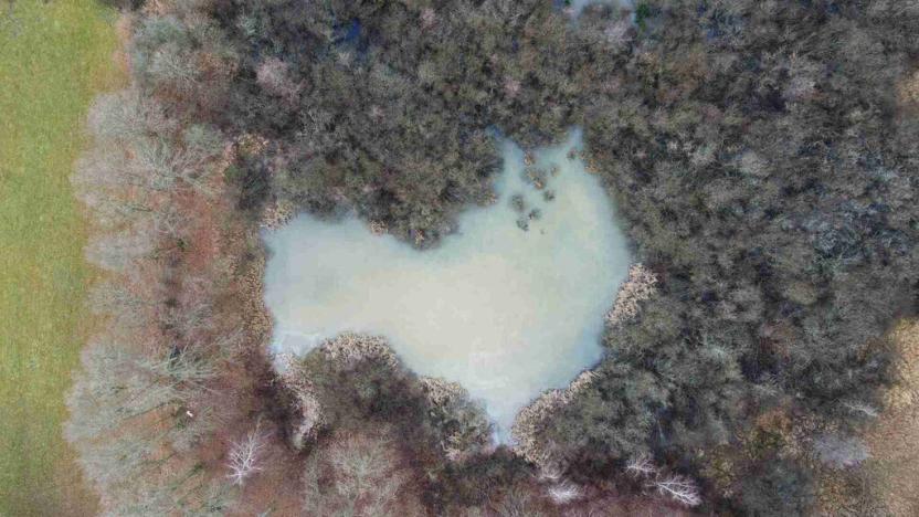 Prodej pozemku, Nové Hrady - Štiptoň, 35772 m2