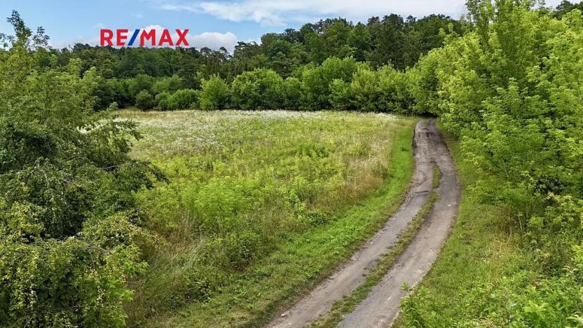 Prodej pozemku pro bydlení, Liběchov, 7548 m2