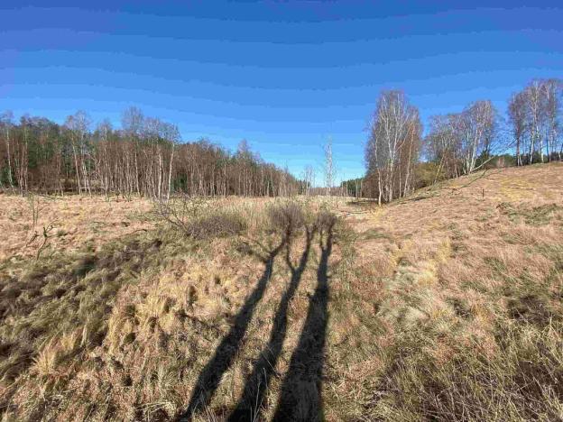 Prodej pole, Rozvadov - Svatá Kateřina, 60693 m2