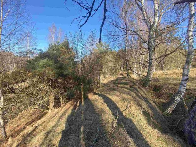 Prodej pole, Rozvadov - Svatá Kateřina, 60693 m2