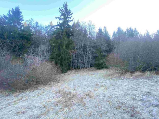 Prodej pozemku, Železná Ruda, 2377 m2