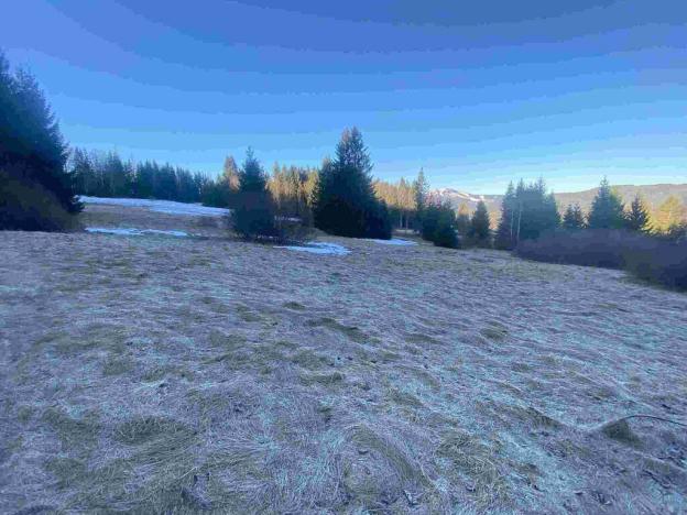 Prodej pozemku, Železná Ruda, 2377 m2