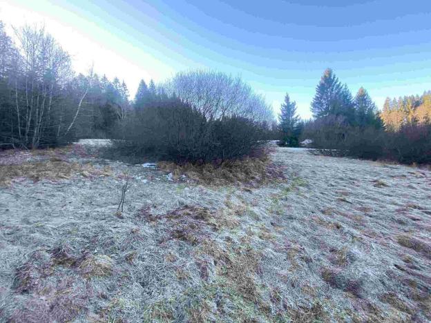 Prodej pozemku, Železná Ruda, 2377 m2