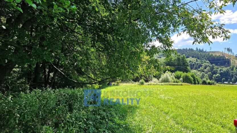 Prodej louky, Trutnov - Babí, 68585 m2