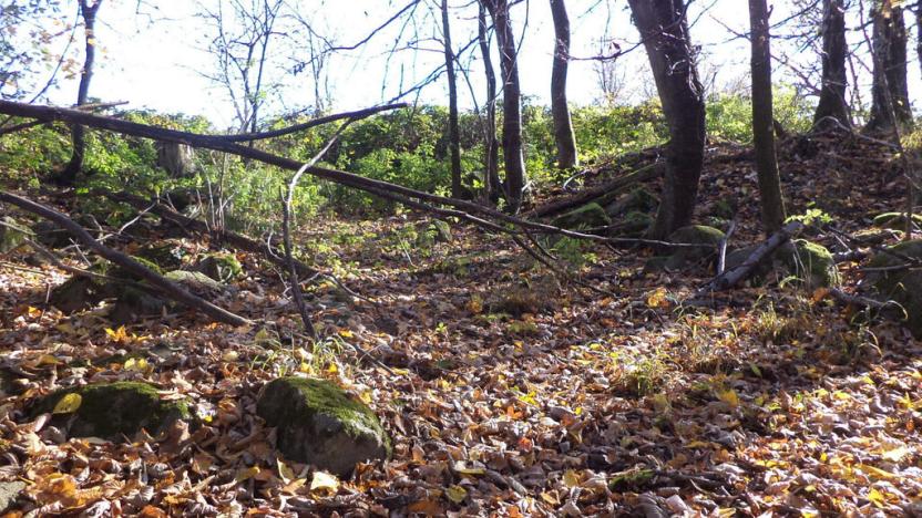 Prodej pozemku, Nové Hrady - Nakolice, 1117 m2