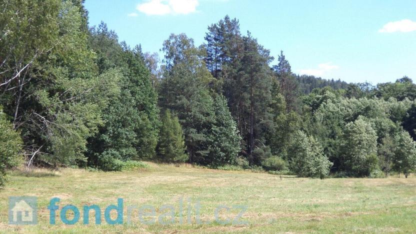 Prodej pozemku, Mařenice, 19744 m2