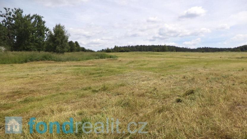 Prodej pozemku, Skořice, 11739 m2