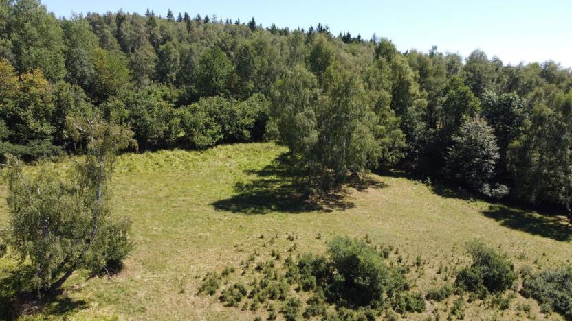 Prodej pole, Strašín, 33898 m2