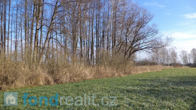 Prodej pozemku, Čejetice - Sudoměř, 62047 m2