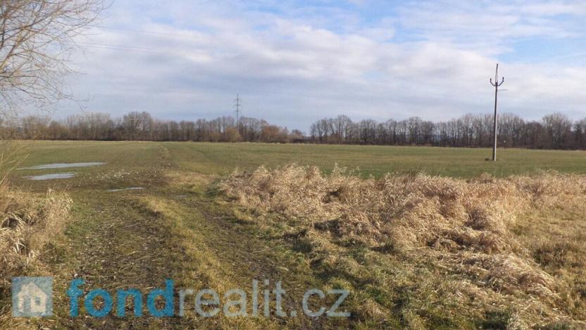 Prodej pozemku, Čejetice - Sudoměř, 62047 m2