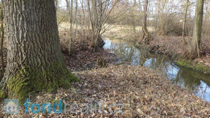 Prodej pozemku, Čejetice - Sudoměř, 62047 m2