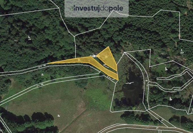 Prodej louky, Přimda - Málkov, 1766 m2