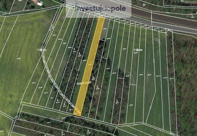 Prodej pole, Kojice, 7158 m2