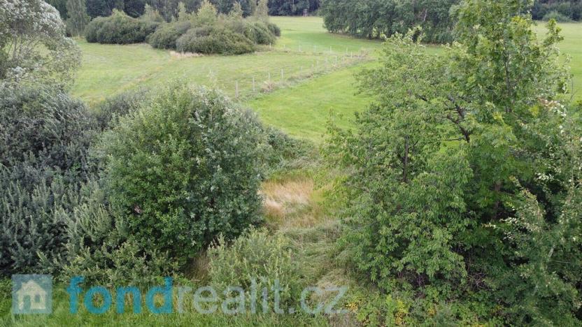 Prodej pozemku, Střítež - Kaplice-nádraží, 11913 m2