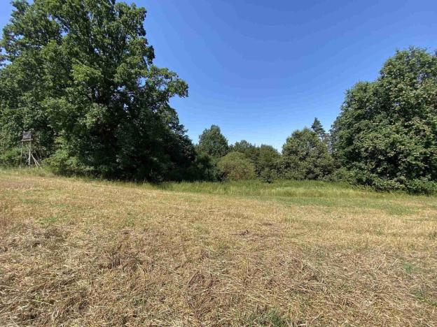 Prodej pole, Dražice, 4492 m2