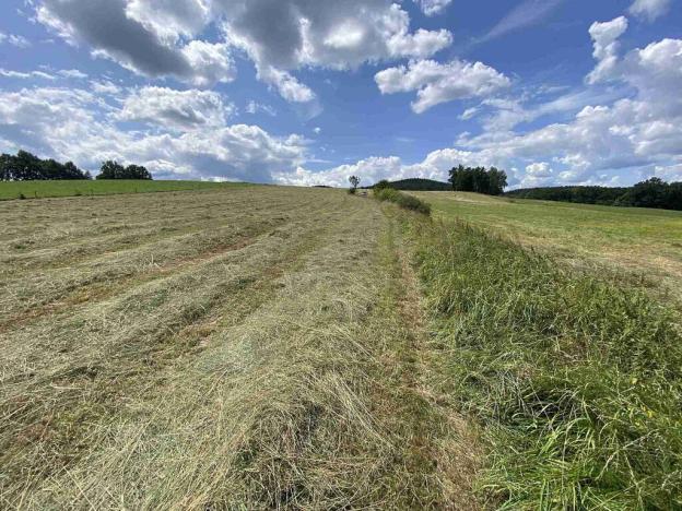 Prodej pole, Lhenice - Hrbov, 55481 m2