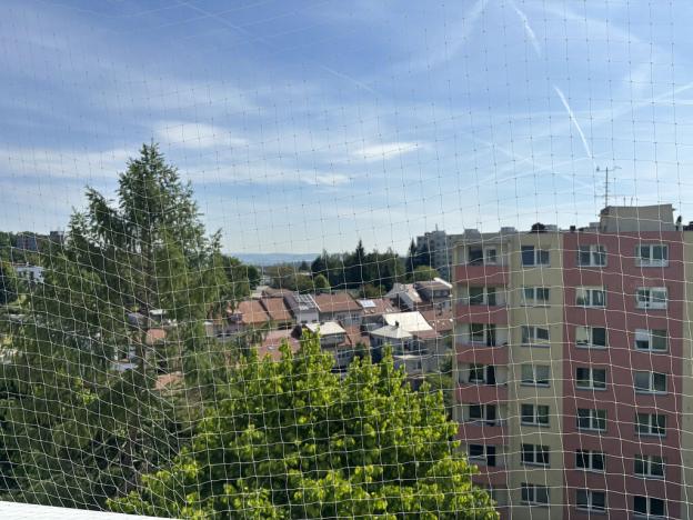 Prodej bytu 2+1, Brno, Ulička, 57 m2