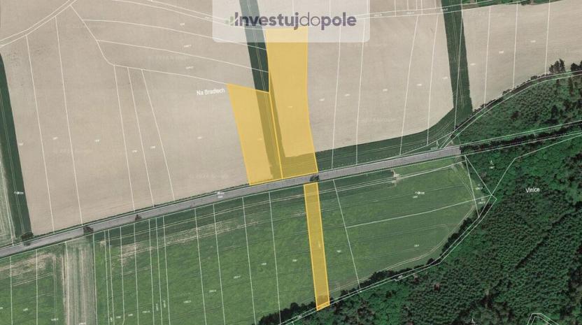 Prodej pole, Nové Město nad Metují, 9860 m2
