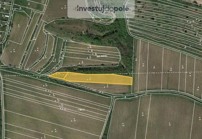 Prodej pozemku, Dolní Věstonice, 747 m2