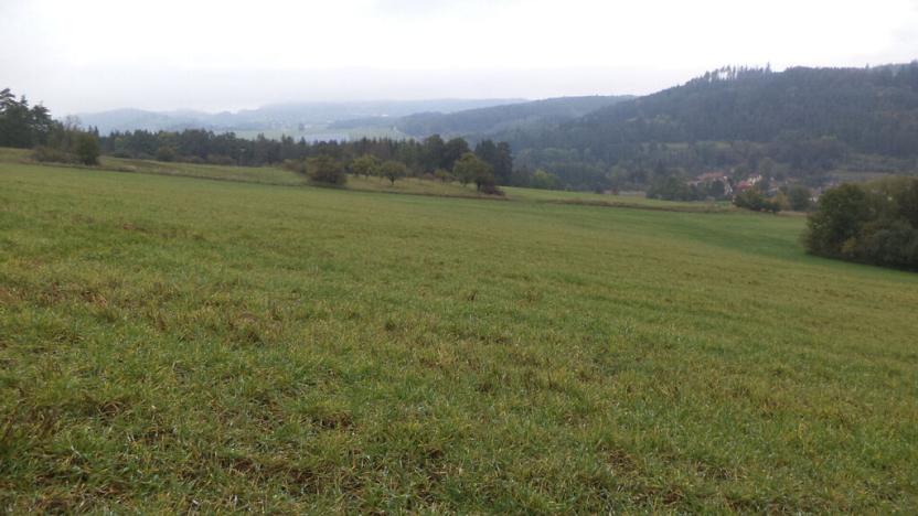 Prodej pozemku, Zbraslavec, 3445 m2