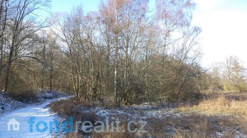 Prodej pozemku, Staré Město pod Landštejnem, 3575 m2