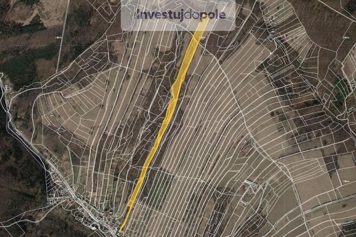 Prodej louky, Jankovice, 11496 m2