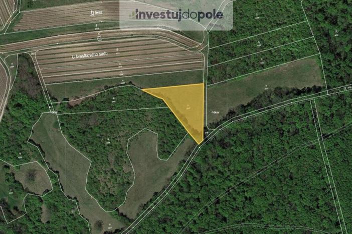 Prodej louky, Horní Věstonice, 2605 m2