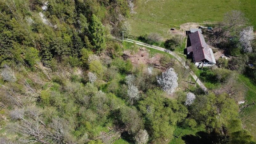 Prodej pozemku, Radčice, 1417 m2