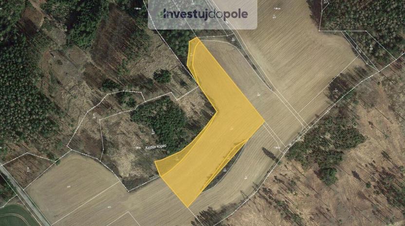 Prodej louky, Pravonín - Lesáky, 13670 m2