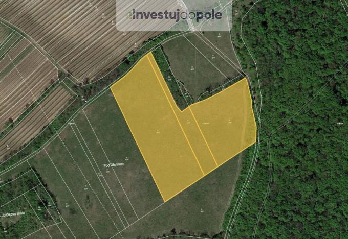 Prodej louky, Horní Věstonice, 24706 m2
