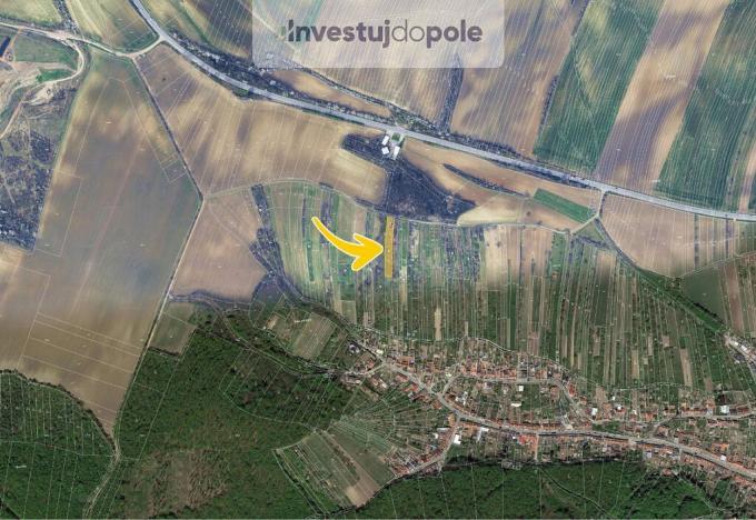 Prodej louky, Klobouky u Brna, 1680 m2