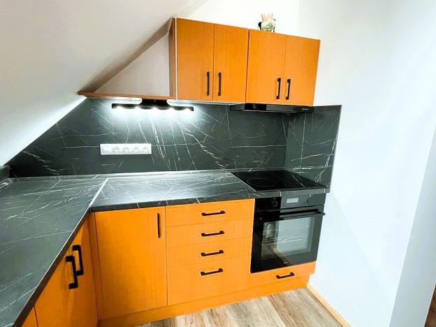 Prodej rodinného domu, Plzeň - Východní Předměstí, Stanko Vodičky, 218 m2