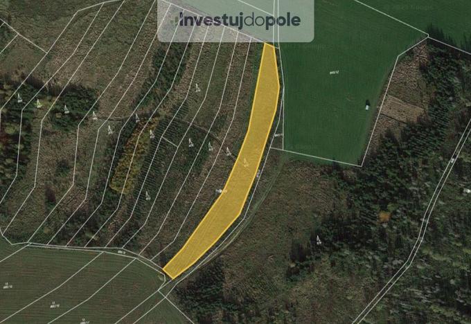 Prodej lesa, Červený Hrádek, 3345 m2