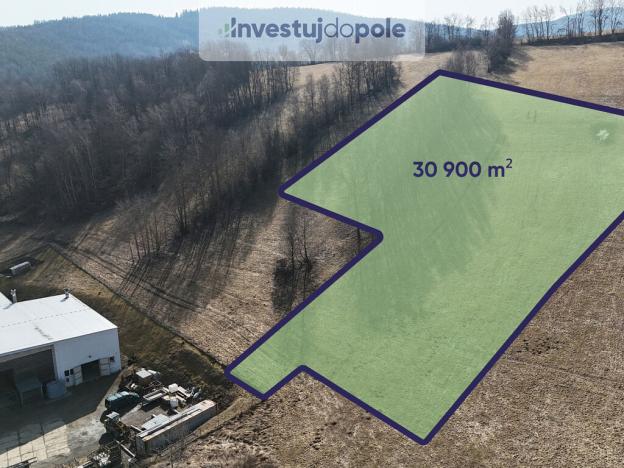 Prodej louky, Vimperk - Pravětín, 30800 m2