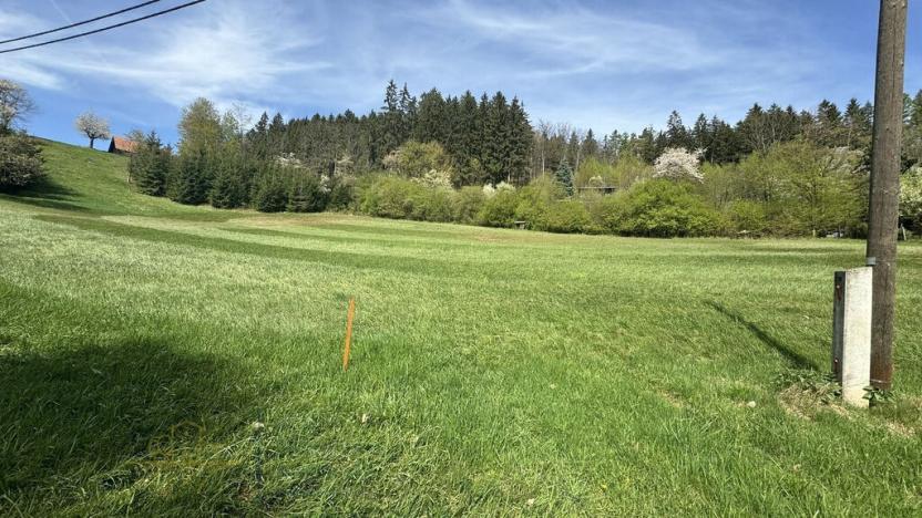 Prodej pozemku, Nová Paka - Zlámaniny, 3116 m2