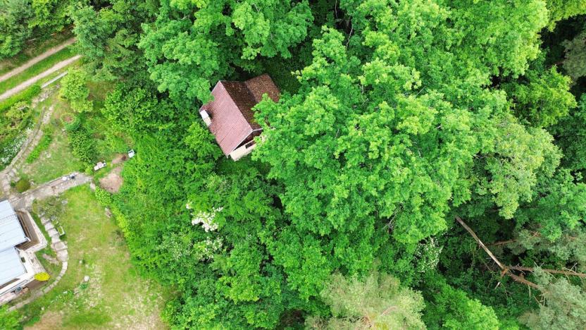 Prodej chaty, Kamenný Újezd - Rančice, 50 m2